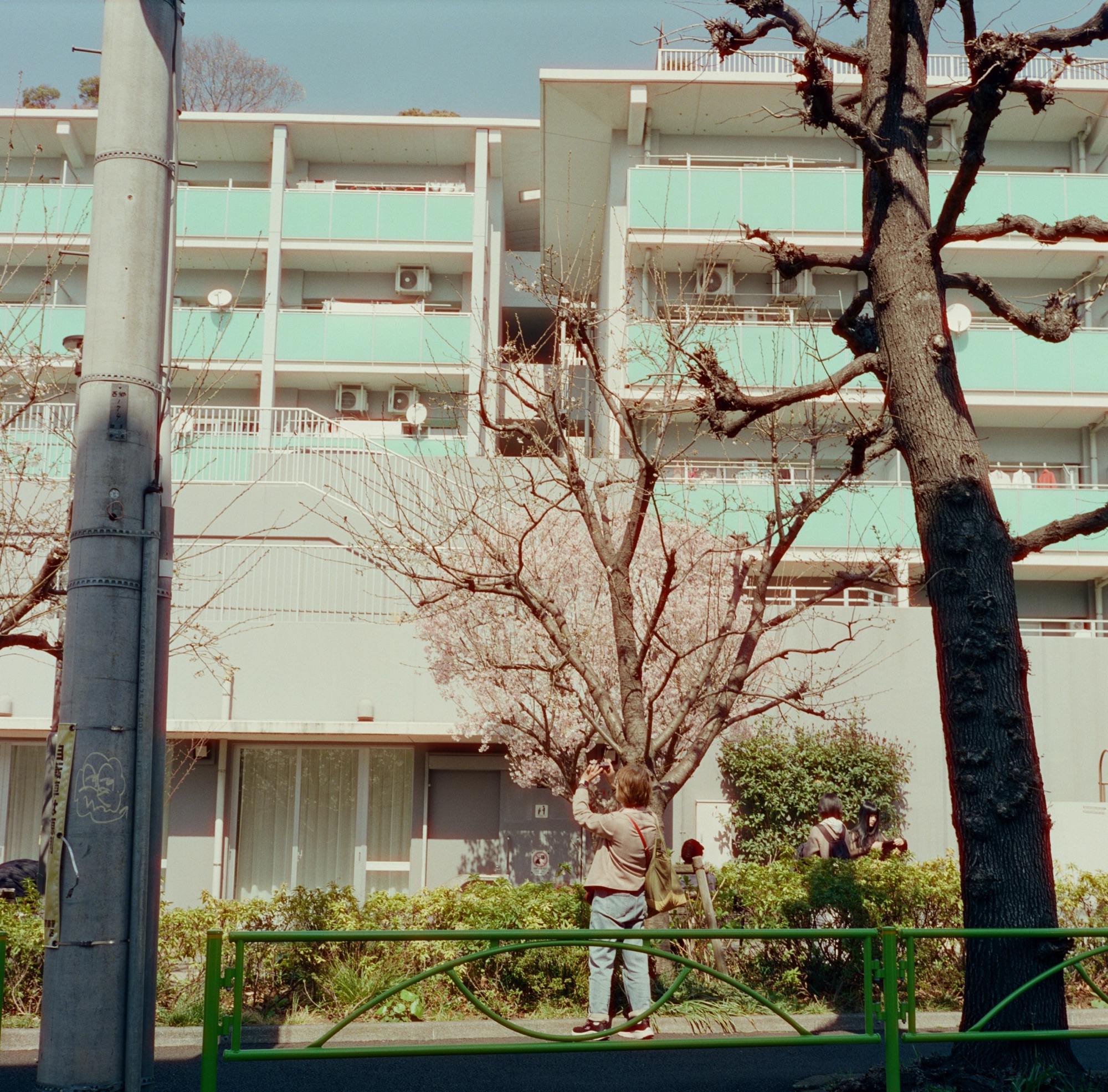 Ichi-go ichi-e — 8508-06