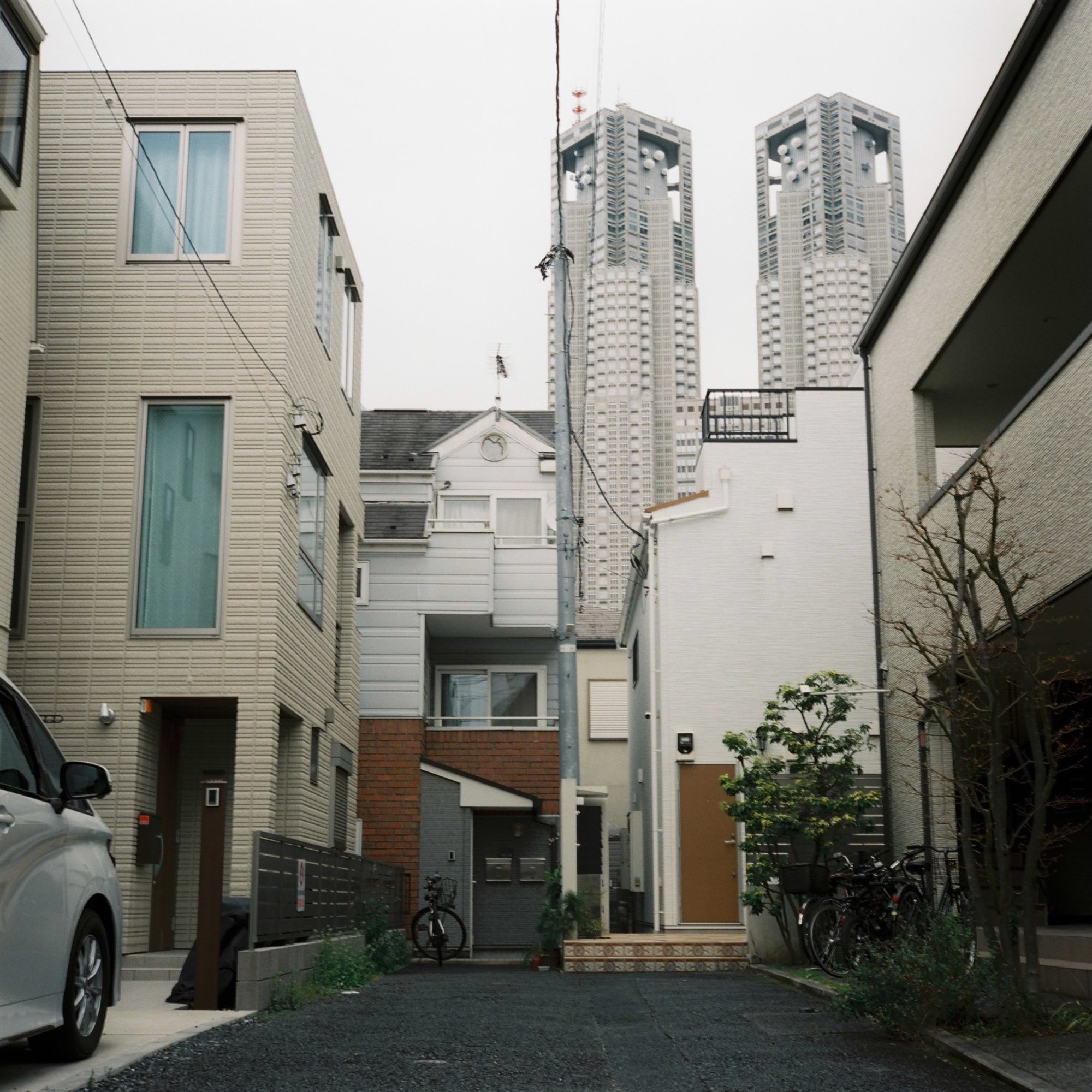 Ichi-go ichi-e — IMG_2269