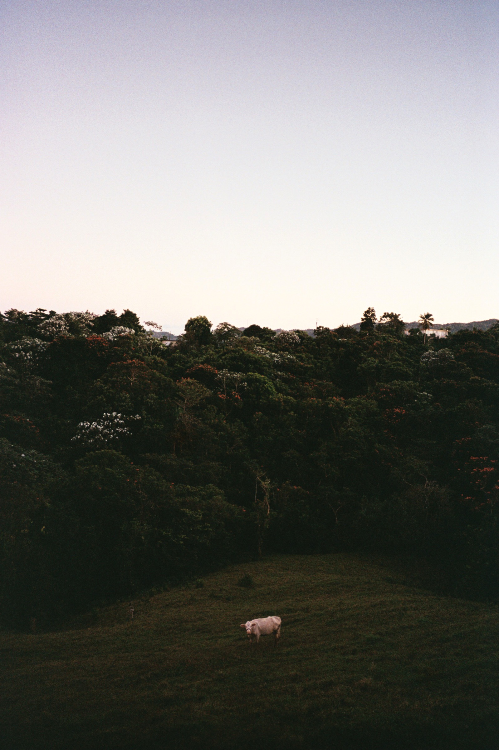 La Tierra Que Me Toco — 9694tAA018A