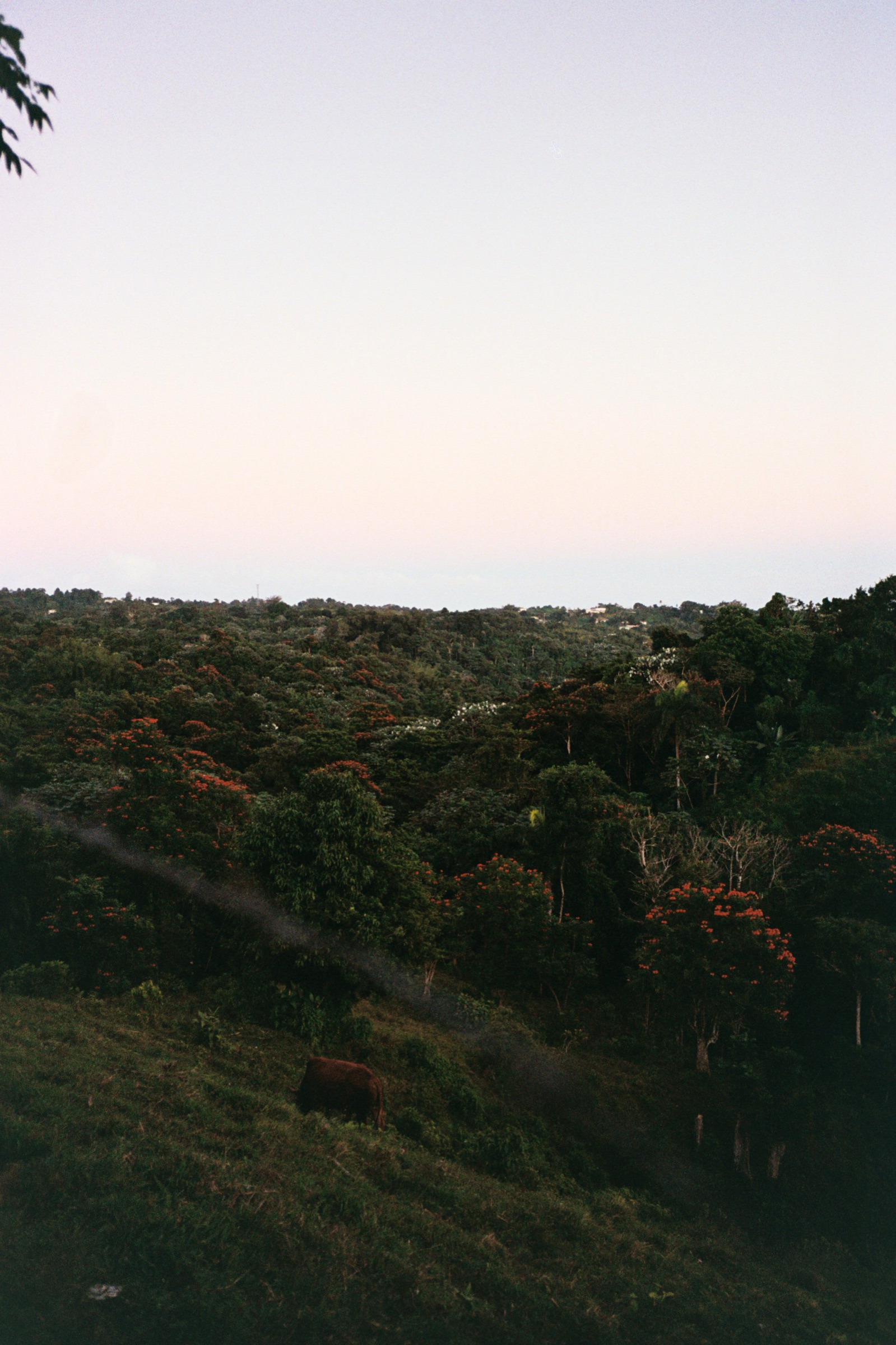 La Tierra Que Me Toco — 9694tAA019A