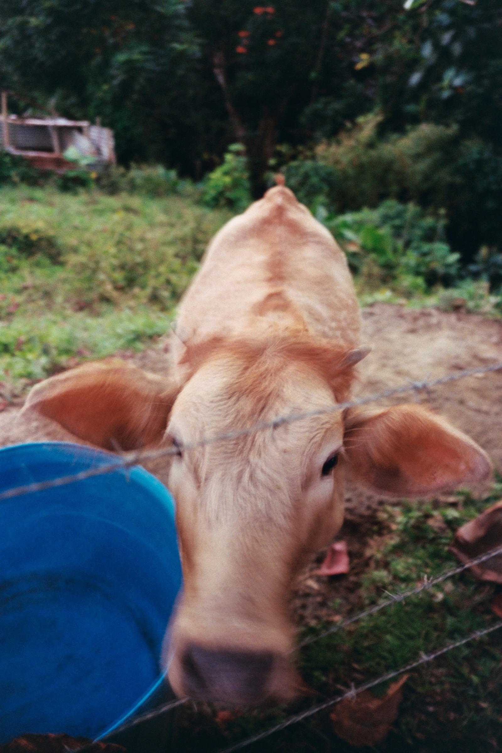 La Tierra Que Me Toco — 9694tAA020A