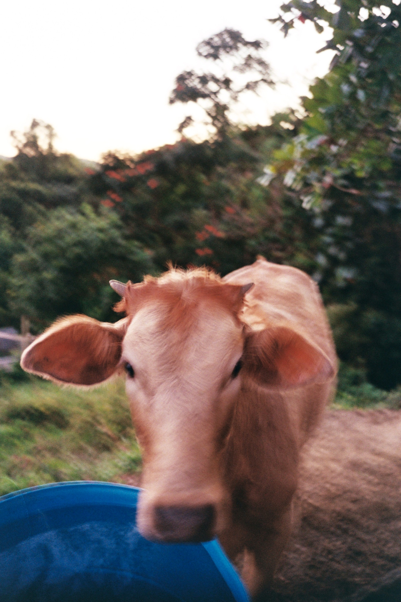 La Tierra Que Me Toco — 9694tAA021A