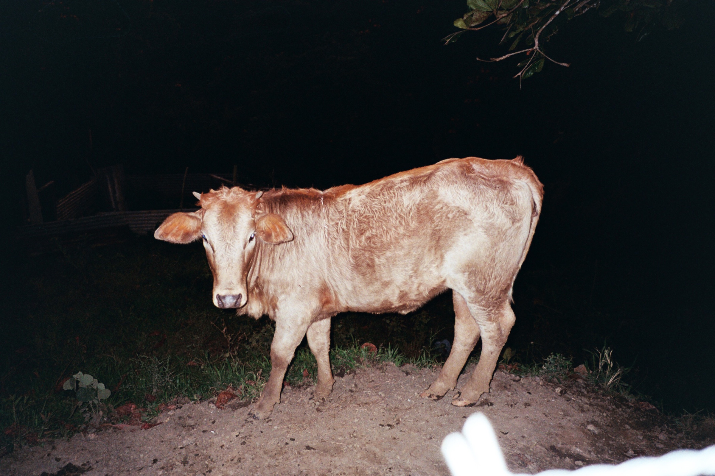 La Tierra Que Me Toco — 9694tAA023A
