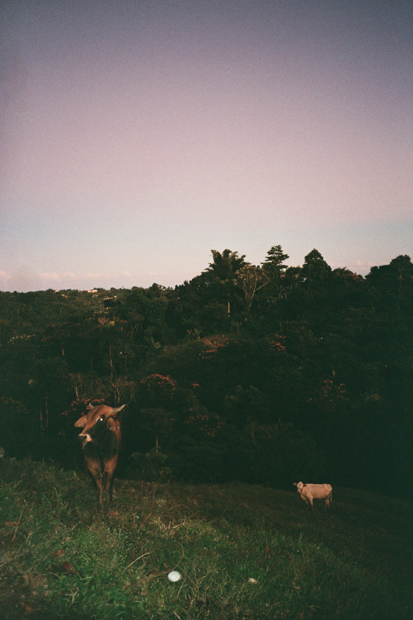 La Tierra Que Me Toco — 9694tAA024A