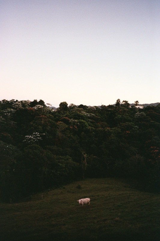 La Tierra Que Me Toco — 9694tAA018A