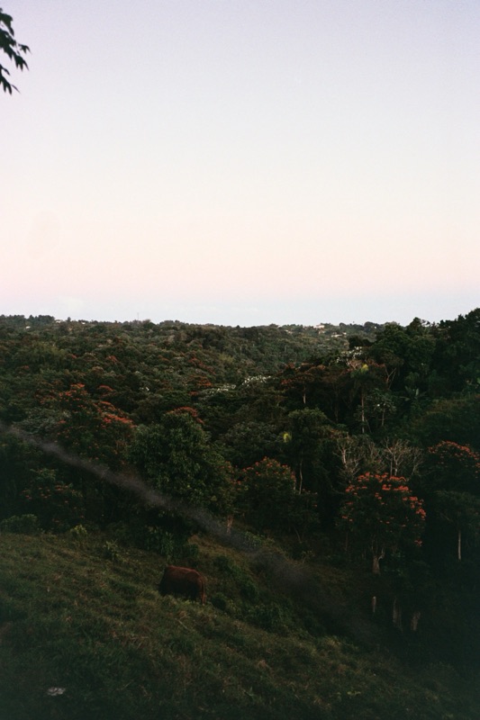 La Tierra Que Me Toco — 9694tAA019A