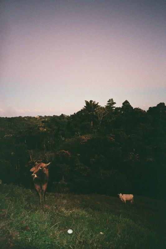 La Tierra Que Me Toco — 9694tAA024A