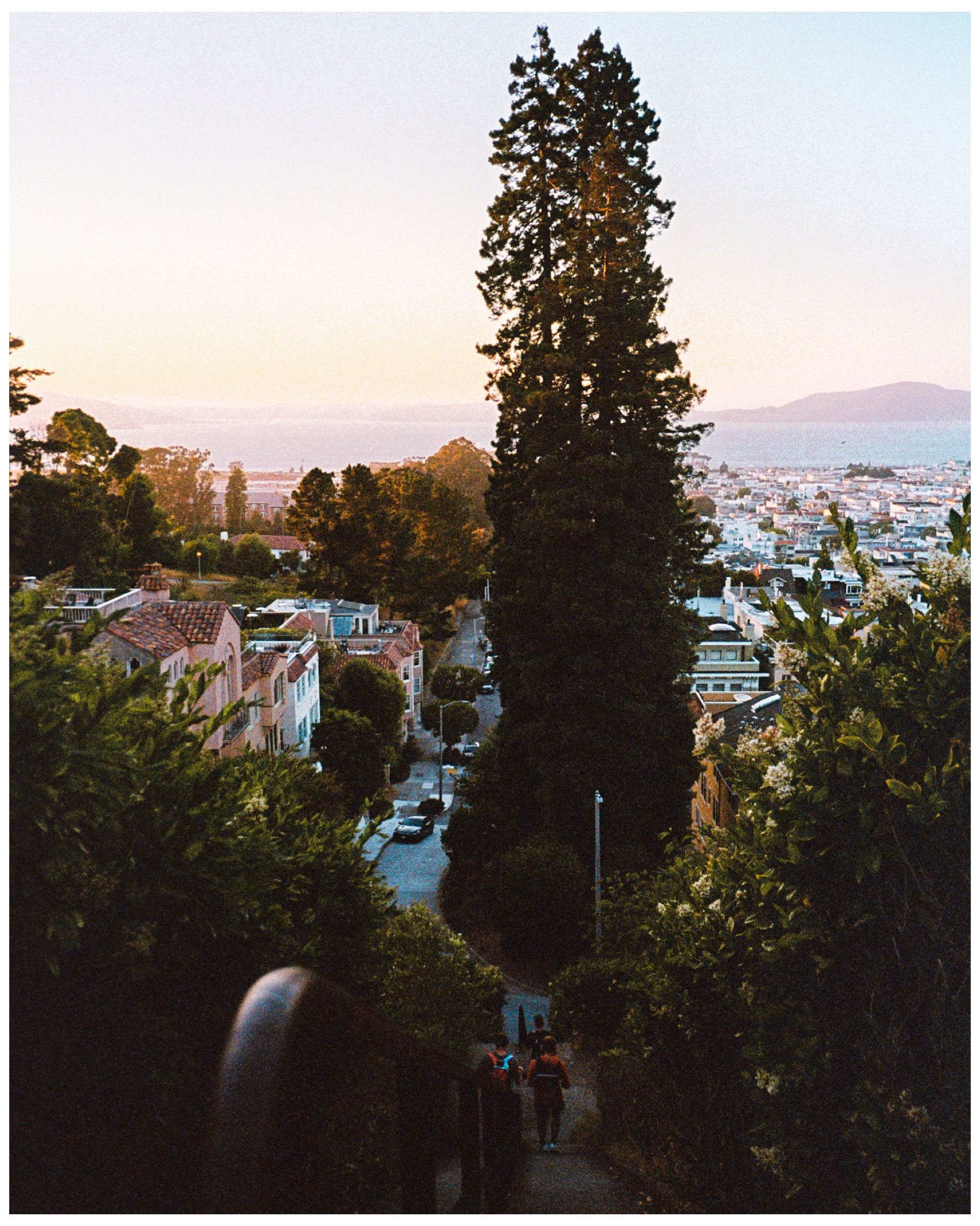 Misc — IMG_2337